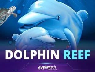 Dolphin Reef thumbnail